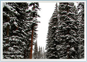 Colorado Snowmobiling